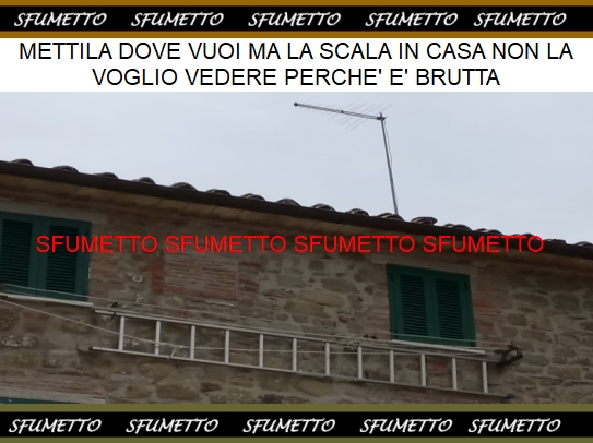 foto simpatica della scala fuori la finestra