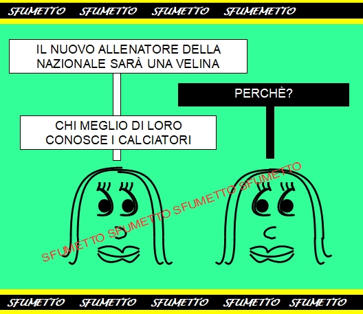 il nuovo allenatore della nazionale sarà una velina